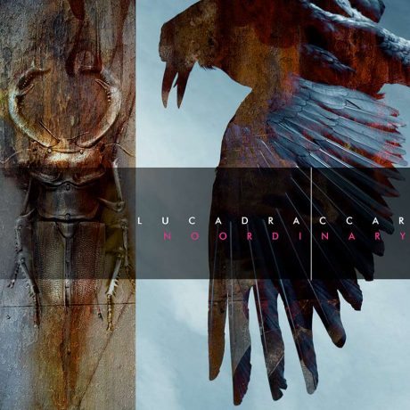 Luca-Draccar-Art-Cover-Noordinary